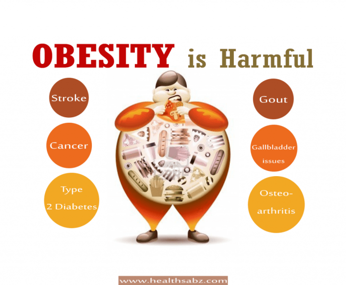 Obesity health harmful risk why inflammation avoid link disorders